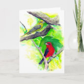 Scarlet Tanagers Vogels Waterverf schilderen Kaart (Voorkant)