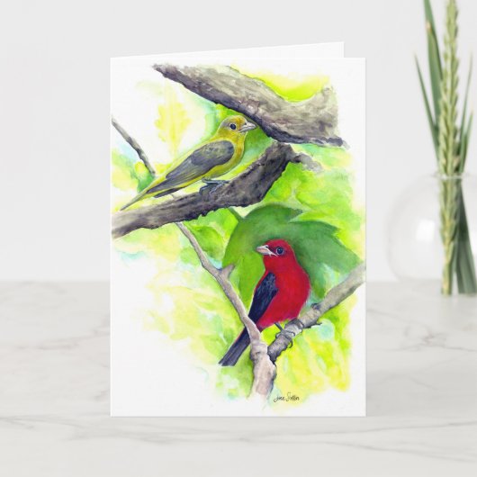 Scarlet Tanagers Vogels Waterverf schilderen Kaart (Voorkant)