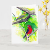 Scarlet Tanagers Vogels Waterverf schilderen Kaart (Gele Bloem)
