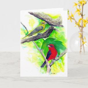 Scarlet Tanagers Vogels Waterverf schilderen Kaart