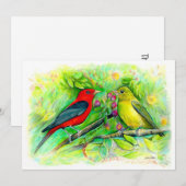 Scarlet Tanagers Waterverf Colored Pencil Tekening Bedankkaart (Voorkant / Achterkant)