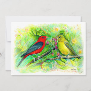 Scarlet Tanagers Waterverf Colored Pencil Tekening Bedankkaart