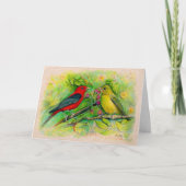 Scarlet Tanagers Waterverf Colored Pencil Tekening Kaart (Voorkant)