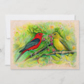 Scarlet Tanagers Waterverf Colored Pencil Tekening Notitiekaartje (Voorkant)