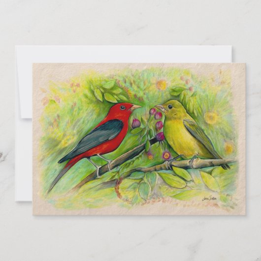 Scarlet Tanagers Waterverf Colour Pencil Art Bedankkaart (Voorkant)