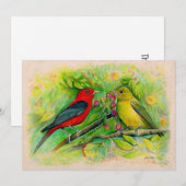Scarlet Tanagers Waterverf Colour Pencil Art Bedankkaart (Voorkant / Achterkant)