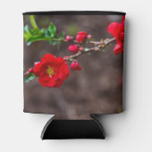 Scarlet Top Blikjeskoeler (Voorkant)