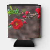 Scarlet Top Blikjeskoeler (Achterkant)