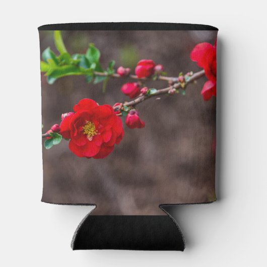 Scarlet Top Blikjeskoeler (Achterkant)