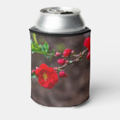 Scarlet Top Blikjeskoeler (Blikje Achterkant)