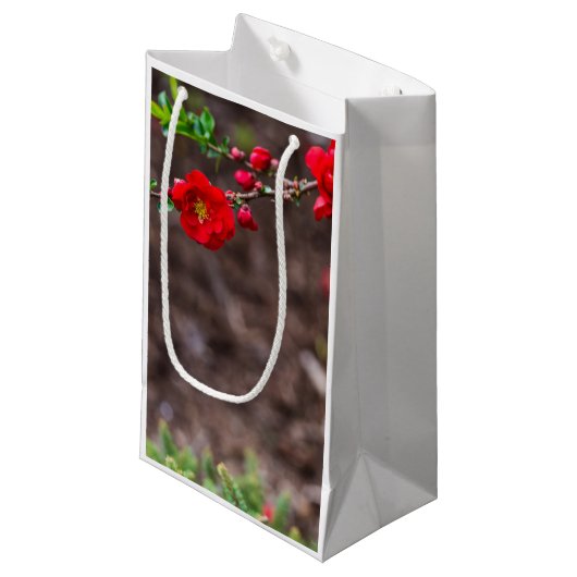 Scarlet Top Klein Cadeauzakje (Voorkant Gekanteld)