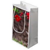 Scarlet Top Klein Cadeauzakje (Achterkant Gekanteld)