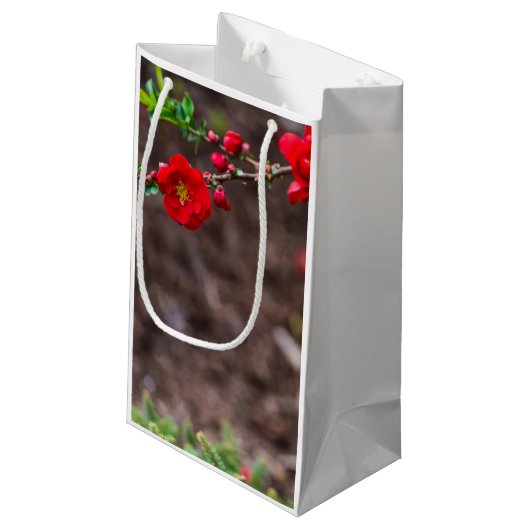 Scarlet Top Klein Cadeauzakje (Achterkant Gekanteld)