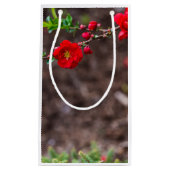 Scarlet Top Klein Cadeauzakje (Voorkant)