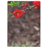 Scarlet Top Klembord (Achterkant)