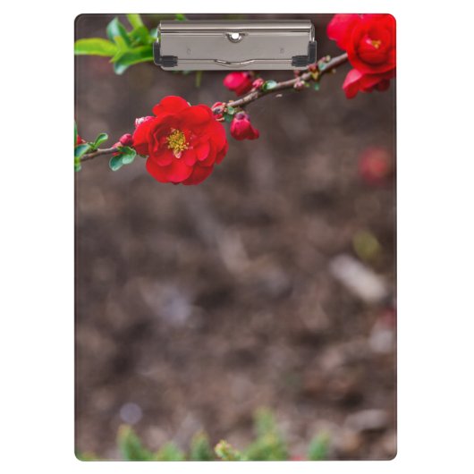 Scarlet Top Klembord (Voorkant)