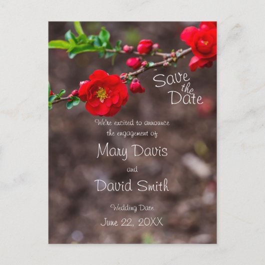 Scarlet Top Wedding Briefkaart (Voorkant)