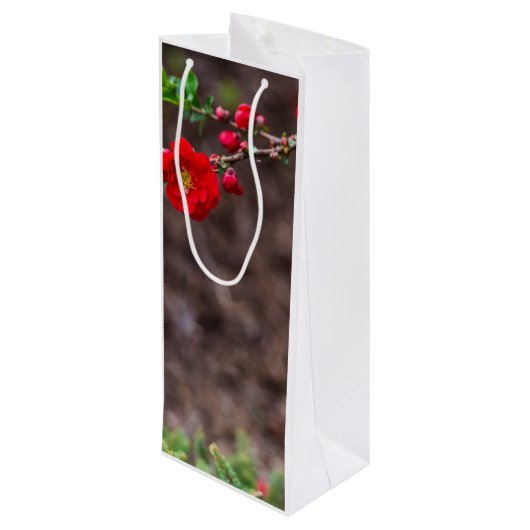 Scarlet Top Wijn Cadeautas (Achterkant Gekanteld)