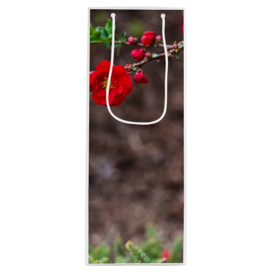 Scarlet Top Wijn Cadeautas (Voorkant)