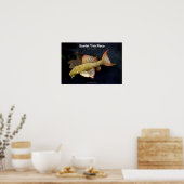 Scarlet Trim Pleco の ポ タ ー Poster (Keuken)