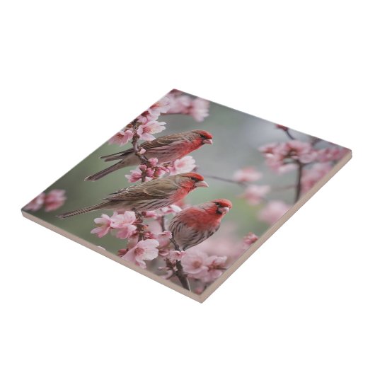 Scarlet Trio: Rode vinken tussen roze bloesems Tegeltje (Zijkant)