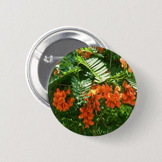Scarlet Wisteria (Sesbania punicea) OBX Button (Voorkant /achterkant)
