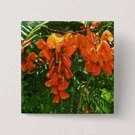 Scarlet Wisteria (Sesbania punicea) OBX Button (Voorkant)