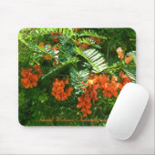 Scarlet Wisteria (Sesbania punicea) OBX NC reeks Muismat (Met muis)