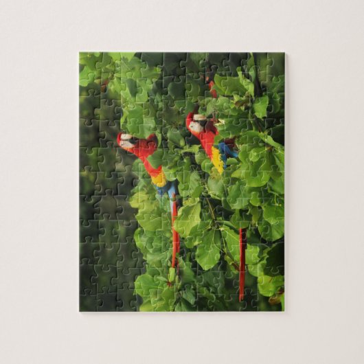 Scarlett Macaws in de amandelboom Jigzaag Puzzle Legpuzzel (Verticaal)