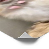 Scarred Hamster Poster (Hoek)