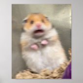 Scarred Hamster Poster (Voorkant)