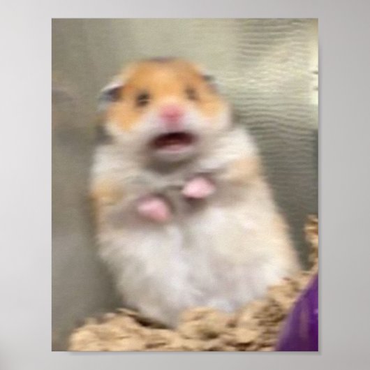 Scarred Hamster Poster (Voorkant)