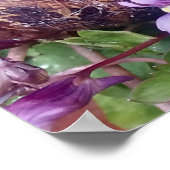 Scarred Shell Poster (Hoek)