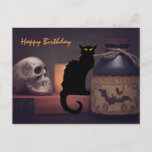 Scary Black Cat and Skull Halloween Happy Birthday Briefkaart<br><div class="desc">Dit Halloween Happy Birthday-briefkaart heeft een enge zwarte kat en een spookkige schedel met een pottenfles.  De groet kan worden gewijzigd...  Achtergroet ~ Een heel gelukkige verjaardag!    Hoop dat het je laat gillen en gillen. *</div>