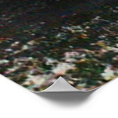 Scary Faerie Poster (Hoek)