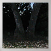 Scary Faerie Poster (Voorkant)