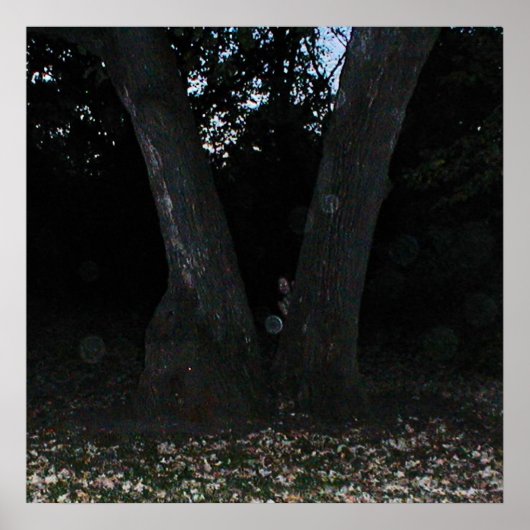 Scary Faerie Poster (Voorkant)