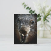 Scary Groundhog Day Briefkaart (Staand voorkant)