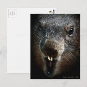 Scary Groundhog Day Briefkaart (Voorkant / Achterkant)