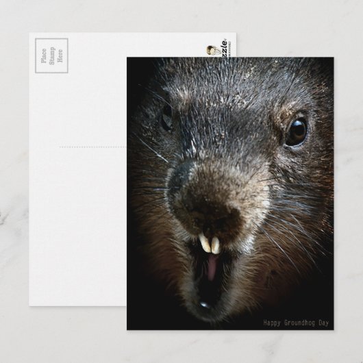 Scary Groundhog Day Briefkaart (Voorkant / Achterkant)