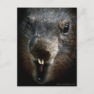 Scary Groundhog Day Briefkaart