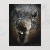 Scary Groundhog Day Briefkaart (Voorkant)