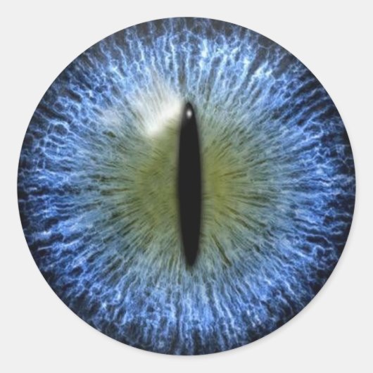 Scary Halloween Cat Eyeball Ronde Sticker (Voorkant)