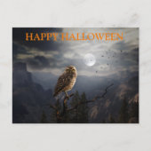 Scary Halloween Night with Owls Briefkaart (Voorkant)