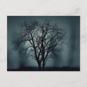 Scary Halloween Night with Raven Crow Postcard Briefkaart