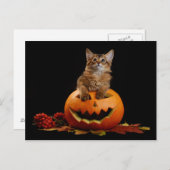 Scary Halloween Pumpkin en Somali Kitten Briefkaart (Voorkant / Achterkant)