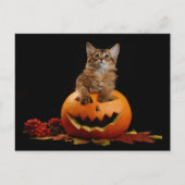 Scary Halloween Pumpkin en Somali Kitten Briefkaart (Voorkant)