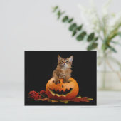 Scary Halloween Pumpkin en Somali Kitten Briefkaart (Staand voorkant)