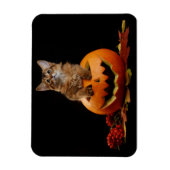 Scary Halloween Pumpkin en Somali Kitten Magneet (Verticaal)
