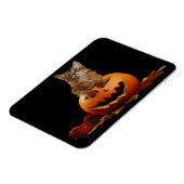 Scary Halloween Pumpkin en Somali Kitten Magneet (Linkerzijde)